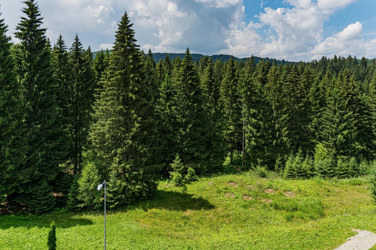 Pine Woods Apartment B35 In Silver Mountain Poiana Brasov Bagian luar foto